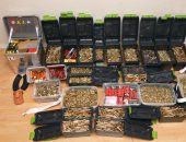 بالصور.. الشرطة الألمانية تصادر أسلحة وذخيرة خلال مداهمات فى برلين