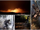 قوات الحماية المدنية فى البرازيل تحاول السيطرة على حرائق الغابات 