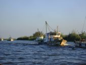 صيادون ببحيرة المنزلة يطالبون بإنهاء عمل اللانشات ذات المحرك بالبحيرة