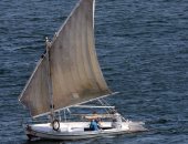 صورة اليوم... شد القلوع يا مراكبى