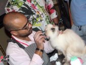 بالصور.. من حق الحيوان يدلع.. محمد مهندس تطوير أعمال قرر يبقى باديكير قطط من 11 سنة