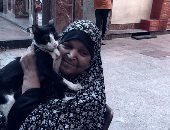 بالفيديو.. الراحمون يرحمهم الله.. مسنة مش لاقية تمن العلاج كل همها إطعام القطط