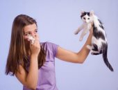الأكل الخاطئ والشامبو السىء قد يسببان إصابة القطط بالحساسية 
