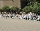بالصور.. شكوى من انتشار الكلاب الضالة والقمامة بزهراء مدينة نصر