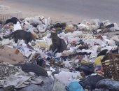 بالصور.. انتشار القمامة فى شارع المقريزى بمصر الجديدة