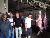 بالصور.. الذبح خارج المجازر يهدد الثروة الحيوانية وصحة الإنسان بالاسكندرية