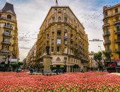 فى عيد الحب المصرى.. أحمد يفرش شوارع مصر بالورد لحبيبته