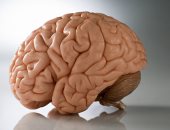 دراسة: بنية المخ الصحية قد تمنع تطور مرض ألزهايمر