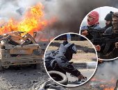 الأزهر يدين قتل عصابات الإرهاب لعدد من السائقين بوسط سيناء