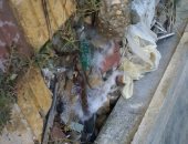 بالفيديو.. كسر ماسورة مياه بالوحدة الصحية بمدينة طيبة الجديدة فى الأقصر