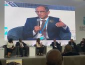 ممثلة حكومة أستراليا توجه رسالة للمصريين: " طبطبوا على بلدكم"