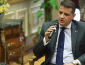 "العلاقات الخارجية" بالبرلمان: سفير فرنسا أكد دعم مصر فى محاربة الإرهاب