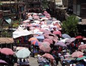 صورة اليوم.. دقوا الشماسى من الضحى لحد التماسى