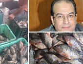 بالصور.. حلم البورصة السمكية ببحيرة المنزلة يتحقق.. محافظ الدقهلية: البورصة تحدد السعر والنوع وافتتاحها 30 يونيو 2019.. الشعراوى: سنصدر للخارج ونبيع بكافة المحافظات.. والصيادون: ستقضى على جشع التجار
