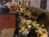 شكوى من تراكم القمامة بشارع فؤاد فى الإسكندرية
