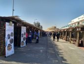 مركز بحوث الصحراء يشارك في المهرجان السابع للتمور بواحة سيوة