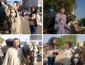 صور.. على أرضها اتمخطر يا أسطى.. سائقو الحنطور بأسوان لـ"اليوم السابع": الموسم السياحى هذا العام بشرة خير.. الرئيس شهرنا بعد جولته بكورنيش المحافظة.. ويؤكدون: المصريون أنقذونا بعد ترك السياح للمدينة