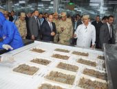 صور وفيديو.. الرئيس السيسي: افتتاح مزارع إنتاج حيوانى خلال أسابيع