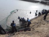 صيد الأسماك بالكهرباء ينهى حياة سائق توك توك بكرداسة 