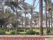 صور.. 10معلومات يجب أن تعرفها عن حدائق المنتزة الملكية بالإسكندرية