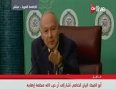  أبو الغيط: بيان وزراء الخارجية العرب أشار إلى أن حزب الله منظمة إرهابية