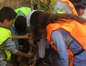 فيديو.. "مدينتى خضراء".. مبادرة بيئية لتشجير الشوارع فى أسيوط "صور"