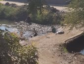 قارئ يرصد أطفال يجمعون القمامة من داخل ترعة مركز قوص بمحافظة قنا