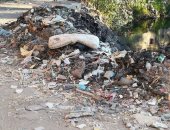 بالصور .. تلال كبيرة للقمامة فى قرية العجيزى بالغربية.. والسكان يستغيثون