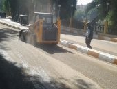 صور .. حملة نظافة ودهان أرصفة وأكشاك كهرباء بمدينة المنشاة