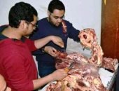 حملات تموينية لضبط اللحوم الفاسدة والمذبوحة خارج المجزر بسوهاج