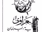 طبعة ثانية لكتاب "الشعراوى تحت القبة" لـ محمد المصرى