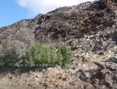 فيديو.. جبال القمامة تحاصر أكبر مصنع سكر بالدقهلية