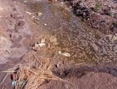 صور.. القمامة والمياه الجوفية تحاصر مقابر قرية السعادة بكفر الشيخ
