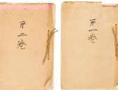 جراح تجميل يابانى يشترى مذكرات الإمبراطور السابق هيروهيتو