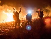 إعلان حالة الطوارئ فى كاليفورنيا بسبب حرائق الغابات