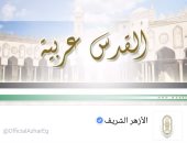 صفحة الأزهر على "فيس بوك" ترفع علم فلسطين و"القدس عربية"