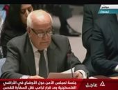 مراقب دولة فلسطين بمجلس الأمن يوجه رسالة بالعربية للفلسطينيين