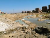 شكوى من وجود برك للمياه بمدينة الصفا فى محافظة السويس