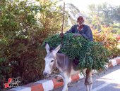 صورة اليوم.. يا اللى معاك المال برده الفقير له رب كريم