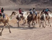 صور.. محافظ جنوب سيناء يشهد انطلاق فعاليات سباق الهجن من مدينة نويبع  