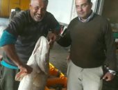 "أمن أسوان" يضبط طن و360 كيلو من الأسماك المهربة