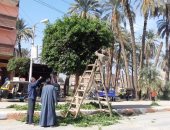 رفع مخلفات وتراكمات وتركيب لمبات وإصلاح كشافات بمدينة جهينة