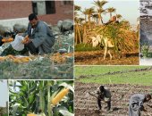 برنامج الأغذية العالمى يشيد بتاريخ مصر الزراعى ويعلن دعم مبادرات خلق فرص العمل