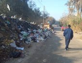 القمامة فى طريق فرسيس بالقليوبية تتسبب فى وقوع الحوادث.. والأهالى يطالبون رفعها