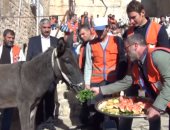 فيديو.. وليمة وحفل وداعى بمناسبة إحالة 3 حمير للتقاعد فى تركيا