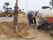 صور.. زراعة مدخل بلطيم بالنخيل وتوسعة الطرق وإقامة مشايات لذوى الاحتياجات