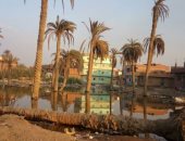 صور.. المياه تغرق شوارع قرية كفر الضبعى بمحافظة الجيزة..وقارئ :لا نعرف السبب