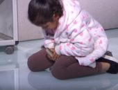 بالفيديو.. طفلة تقبل تمساحا وتسيطر على "كوبرا" على الهواء بـ"ON E"