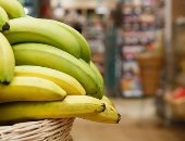 فوائد الموز عديدة.. أبرزها فقدان الوزن وتقوية القلب وتحسين أداء الكلى