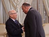 وزير الخارجية يبحث مع الرئيس التونسى جهود مصر لدعم المسار السياسى فى ليبيا